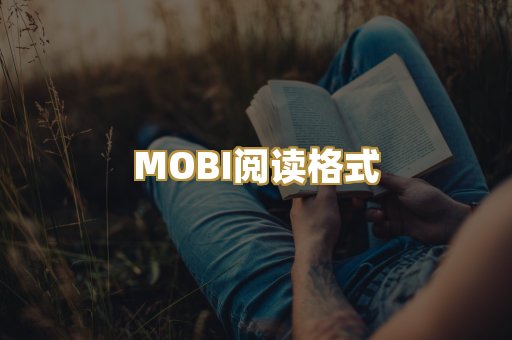 MOBI阅读格式