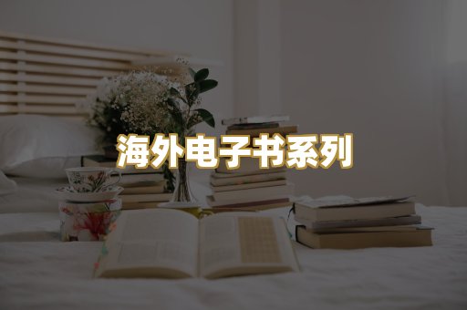 海外电子书系列